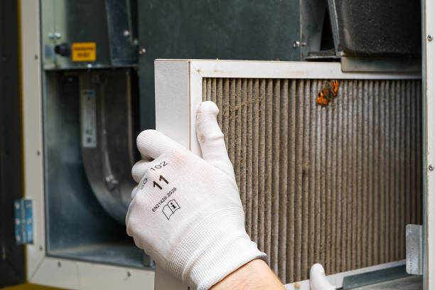 Best Best Air Duct Cleaning Near Me  in Chester, IL