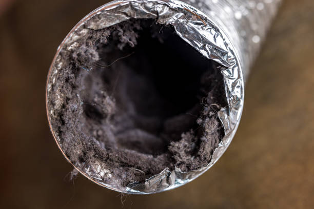 Air Duct Mold Removal in IL