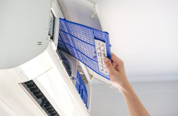 Best Affordable HVAC Duct Cleaning  in Chester, IL