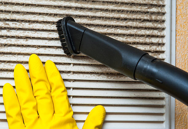 Best Commercial Air Duct Cleaning  in Chester, IL